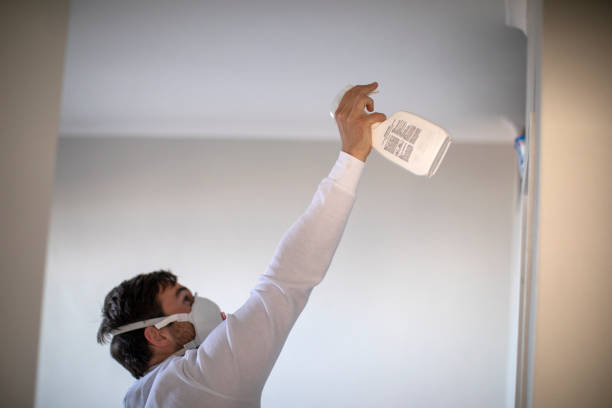 Best Kitchen Mold Remediation in Untain View, MO