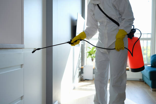 Best Residential Mold Remediation in Untain View, MO